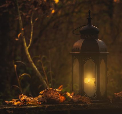 Photo Garden lights