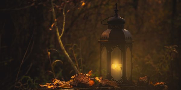 Photo Garden lights