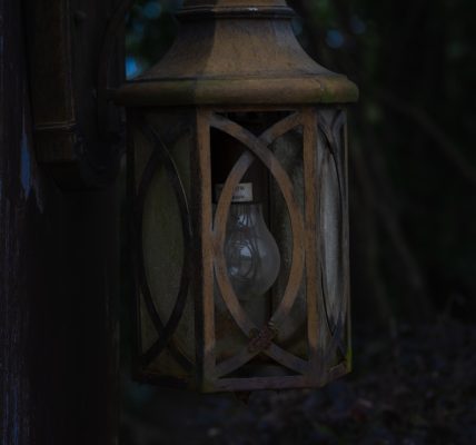 Photo Rabbit Night Light