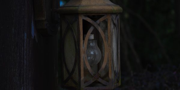 Photo Rabbit Night Light