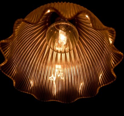 Photo pendant light