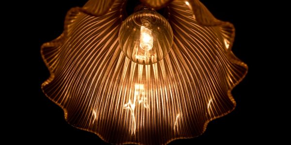 Photo pendant light